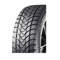 Автошина PACE 205/55R16 91H ANTARCTICA 5+